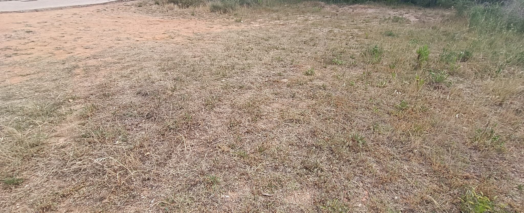 Parcela amplia i pràcticament plana a Gualba   Royal Park