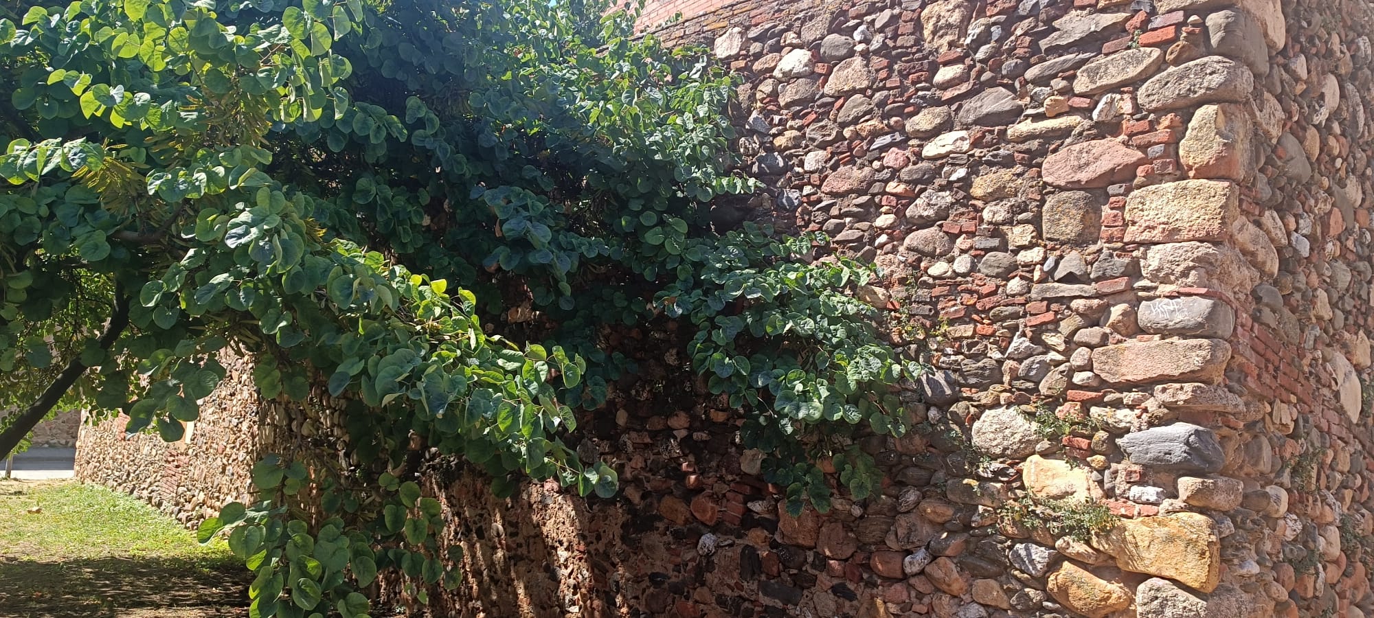 MASIA PER REFORMAR AL TEU GUST