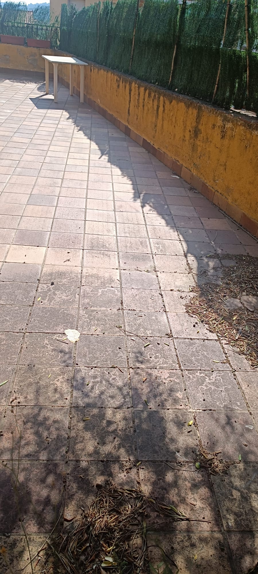 ADOSADA ESQUINERA ZONA HOSPITAL