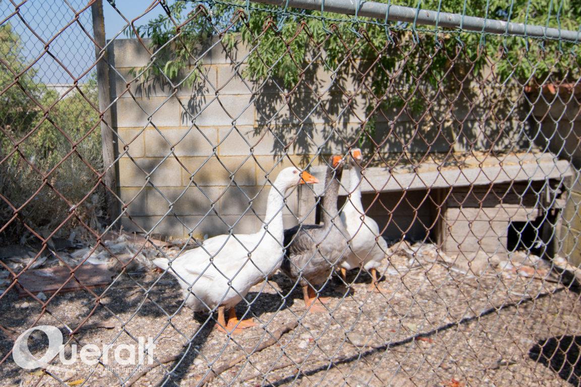 casa en alpicat ·  392000€