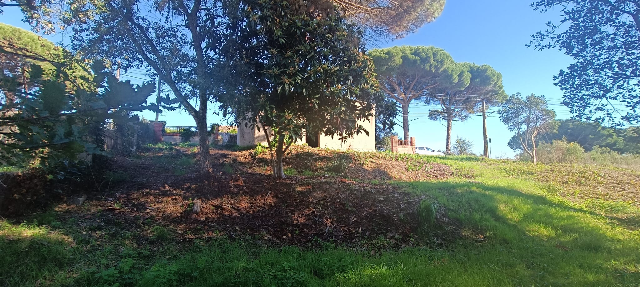 GUALBA ROYAL TERRENY AMB PETITA EDIFICACIO