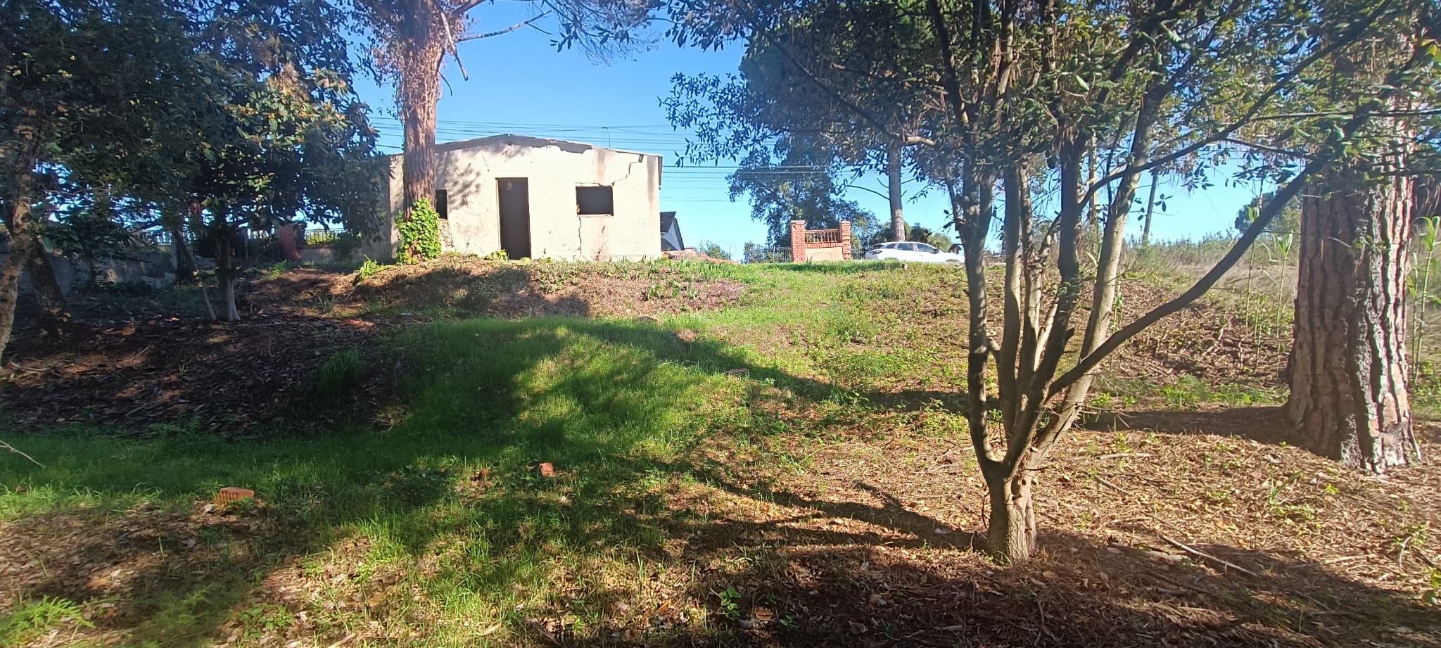 GUALBA ROYAL TERRENY AMB PETITA EDIFICACIO