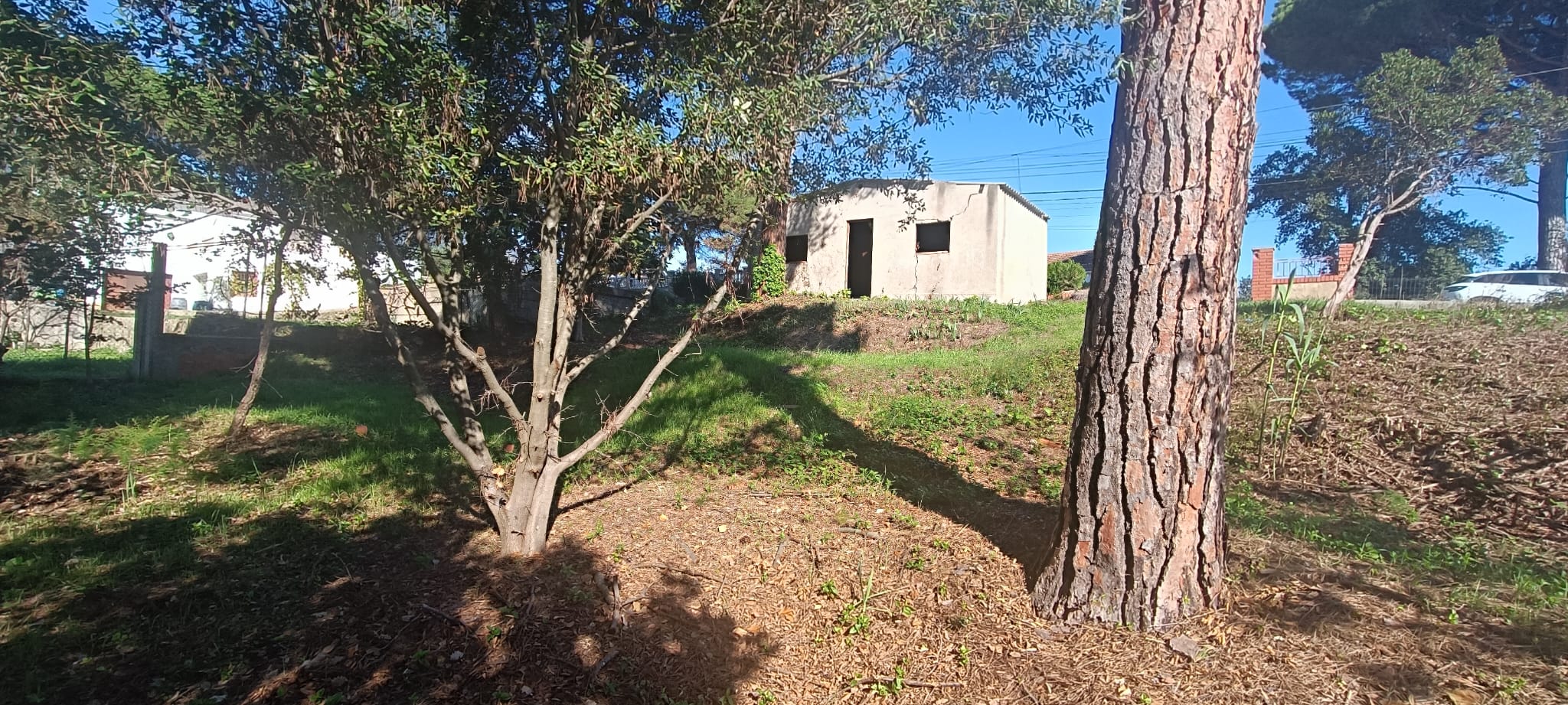GUALBA ROYAL TERRENY AMB PETITA EDIFICACIO