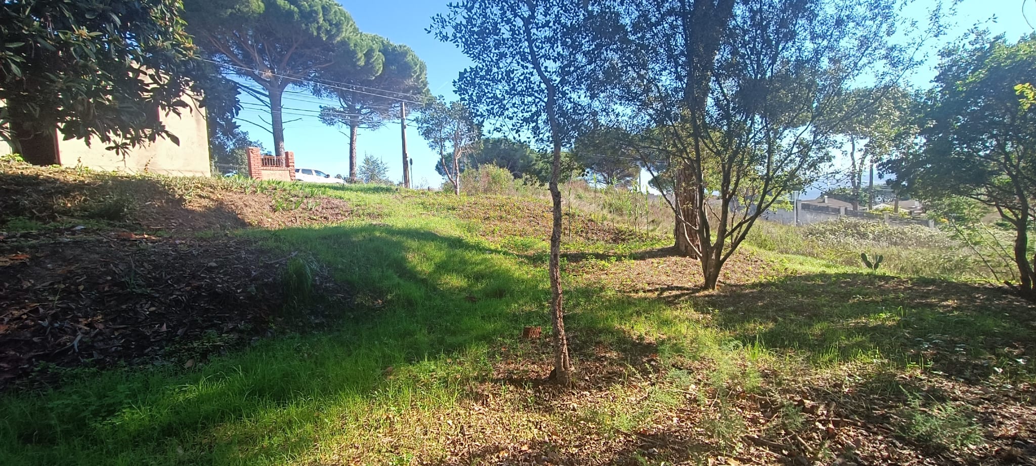 GUALBA ROYAL TERRENY AMB PETITA EDIFICACIO