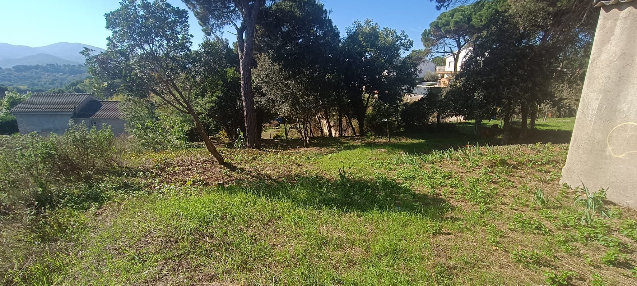 GUALBA ROYAL TERRENY AMB PETITA EDIFICACIO
