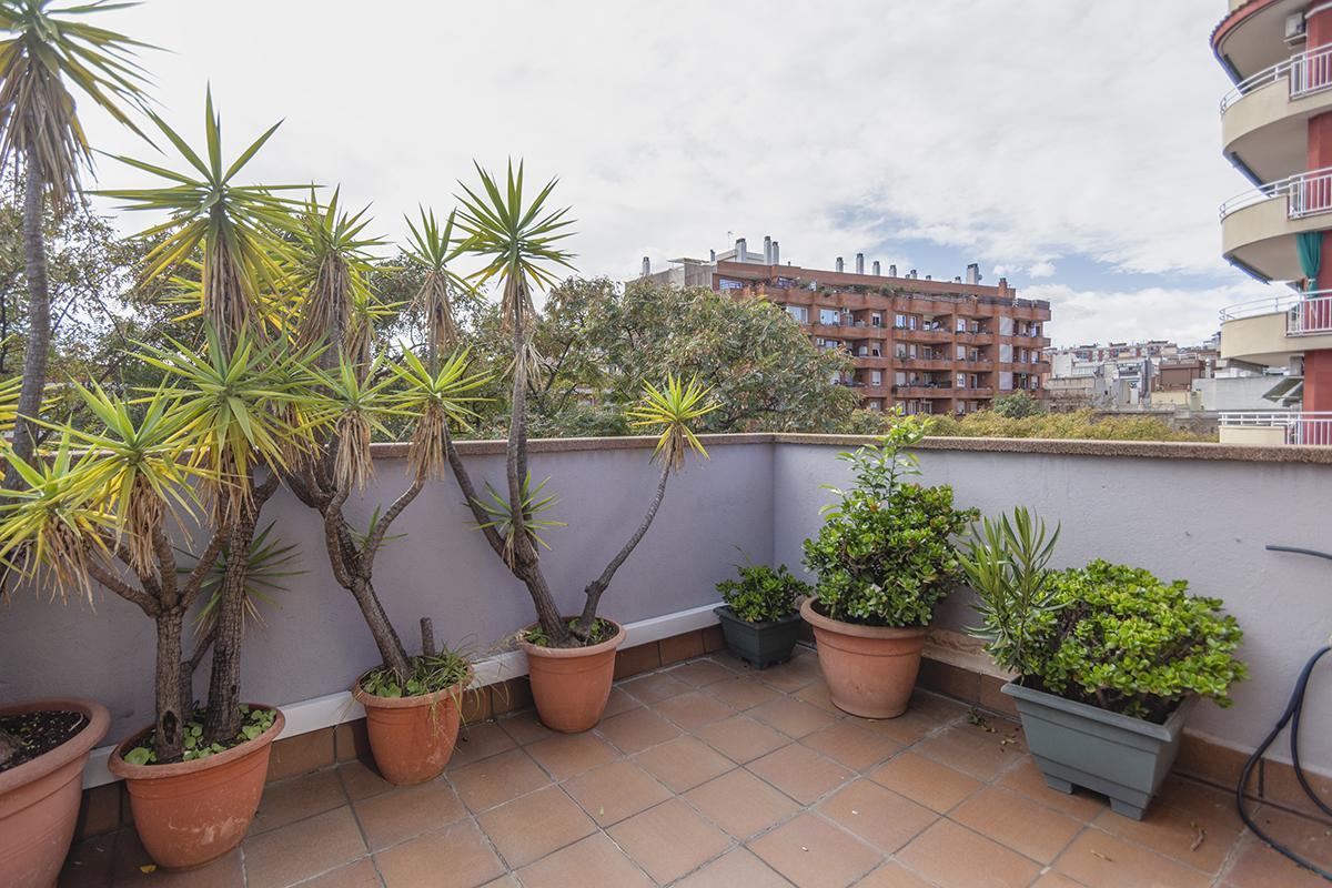 House for sale in Barcelona Sant Andreu de Borriana