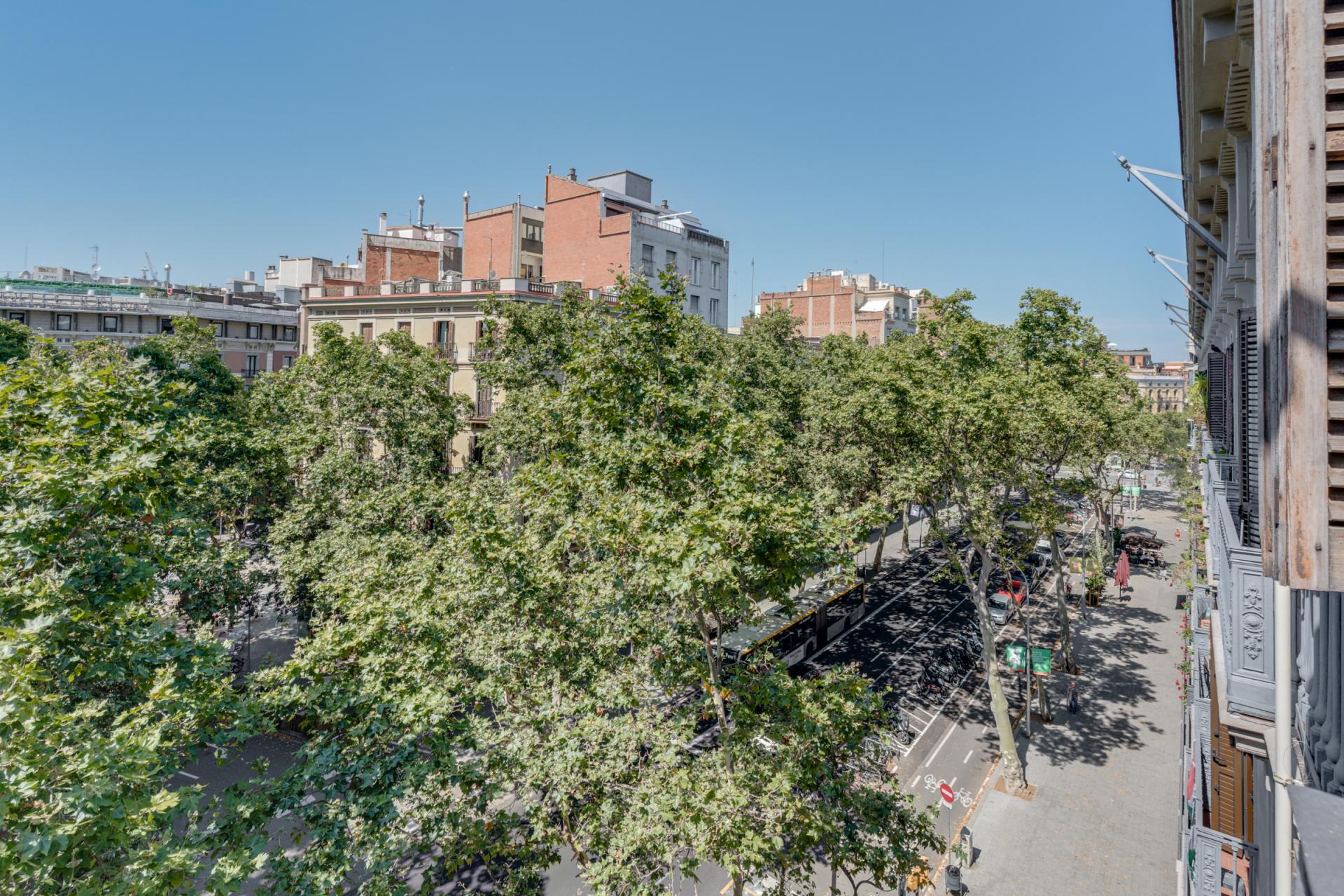 property_image_24