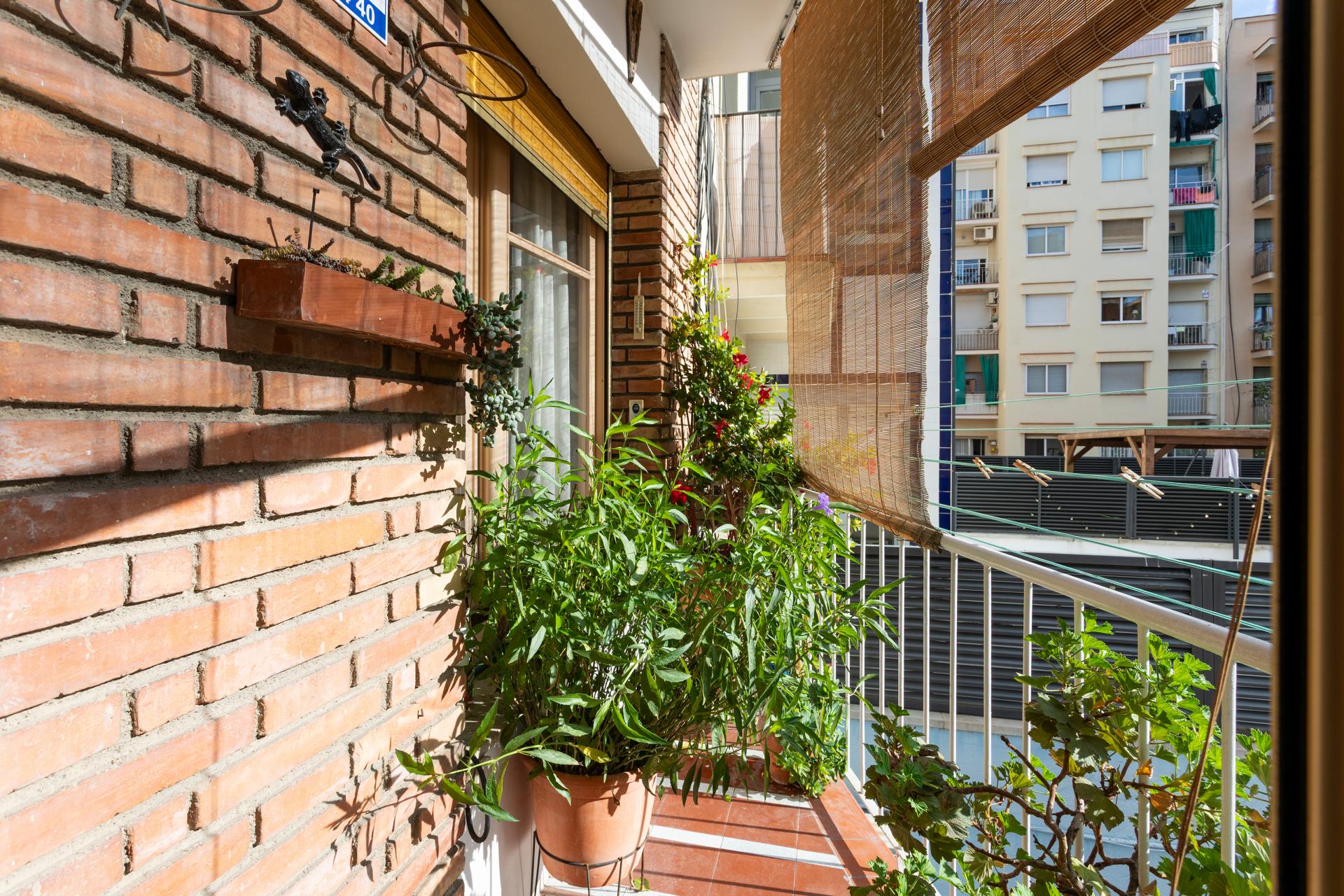 property_image_20