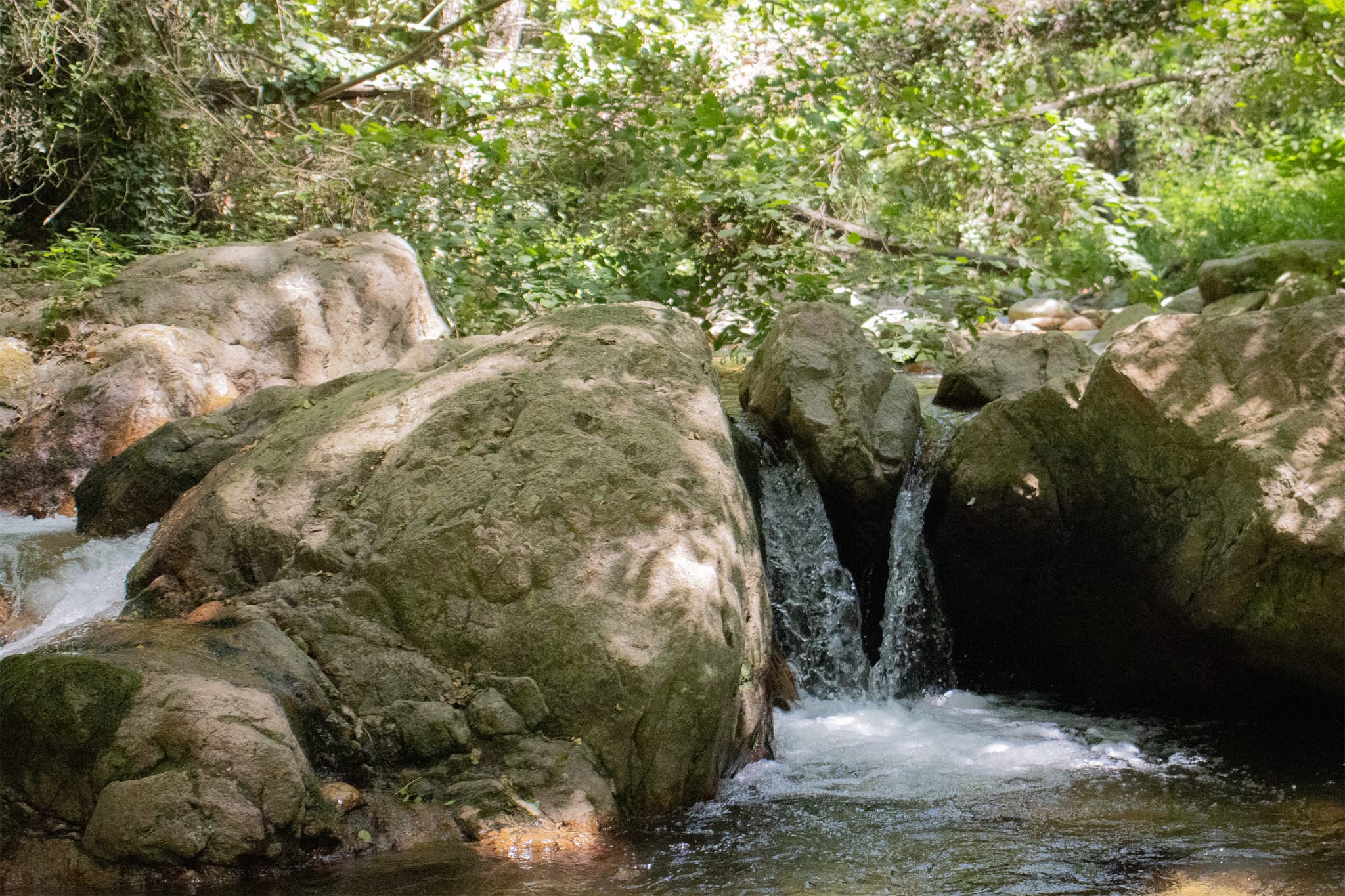 Slide show