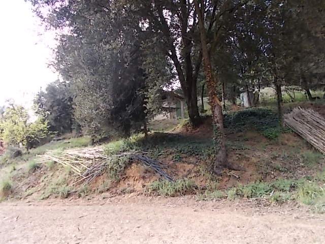 Slide show