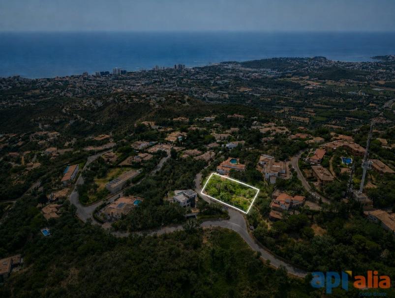 Slide show