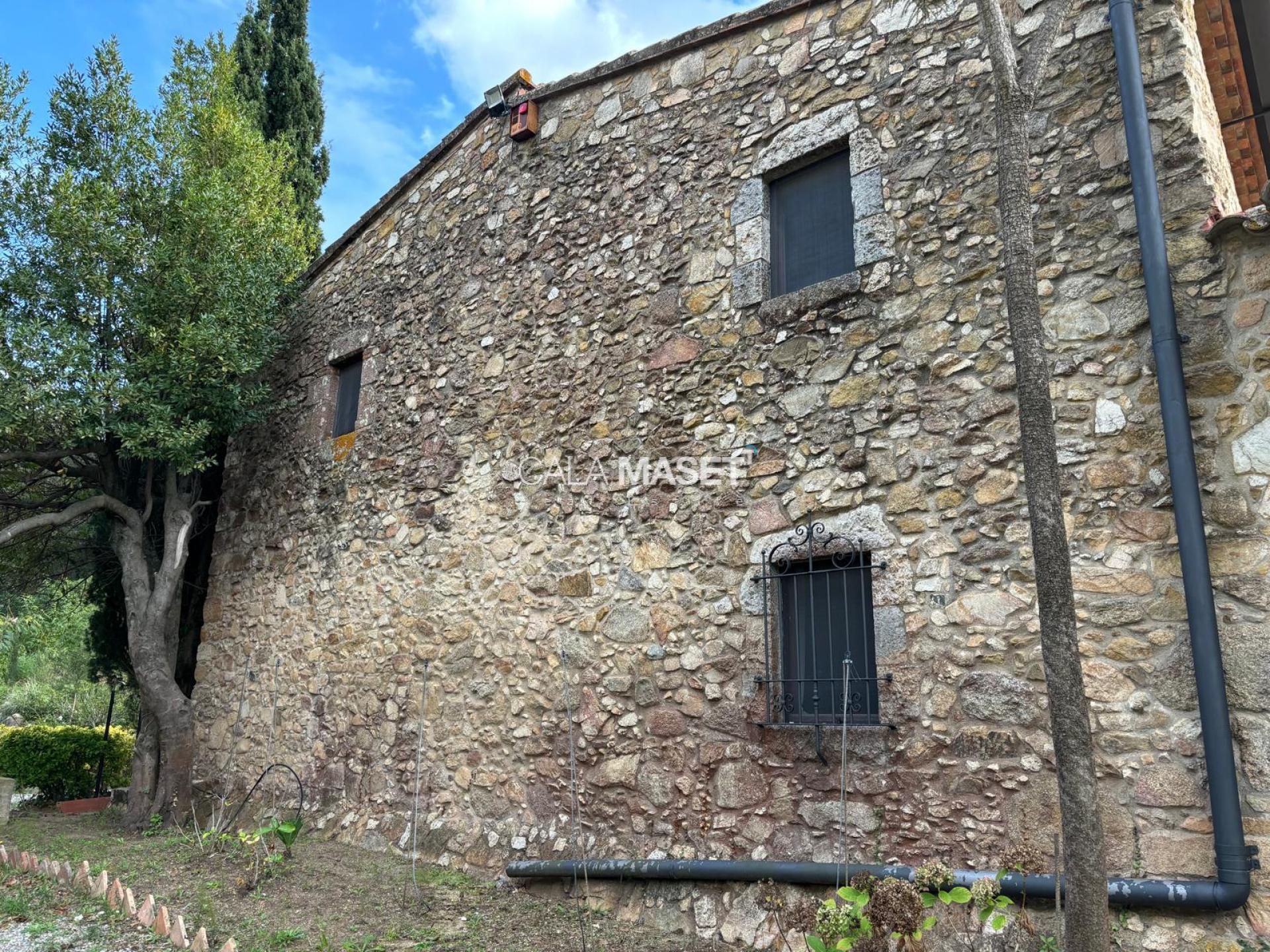Photo 45