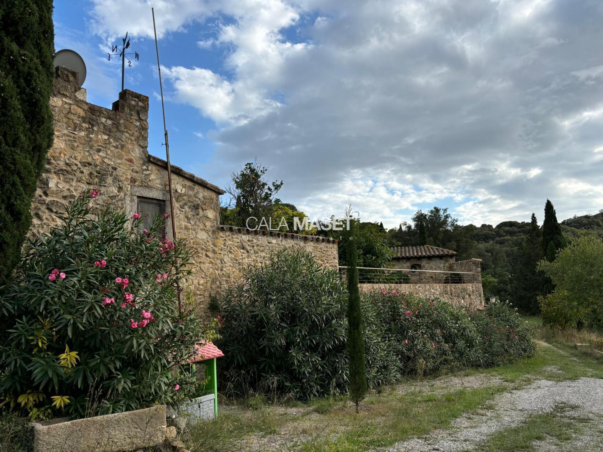 Photo 47