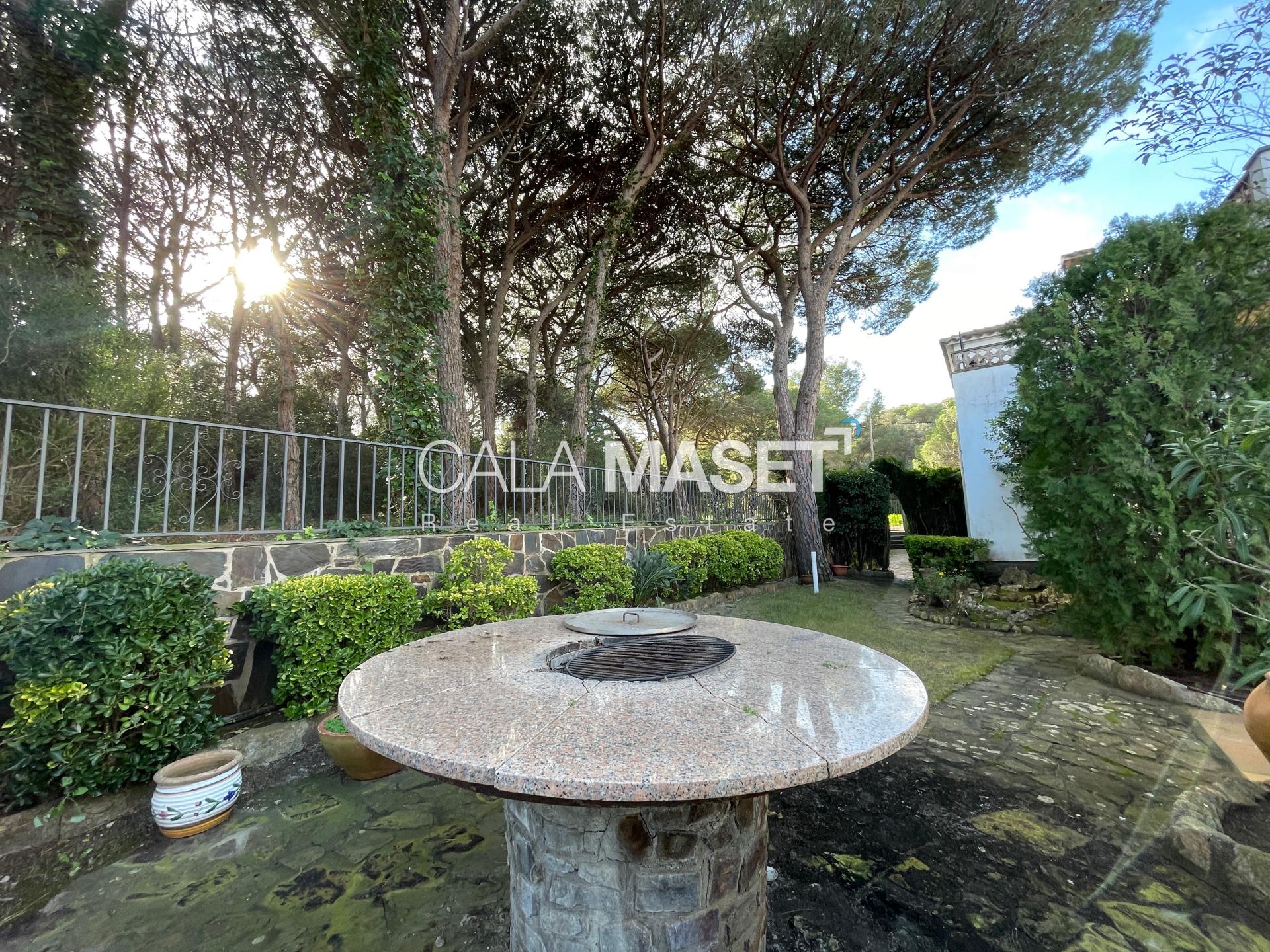 Photo 44