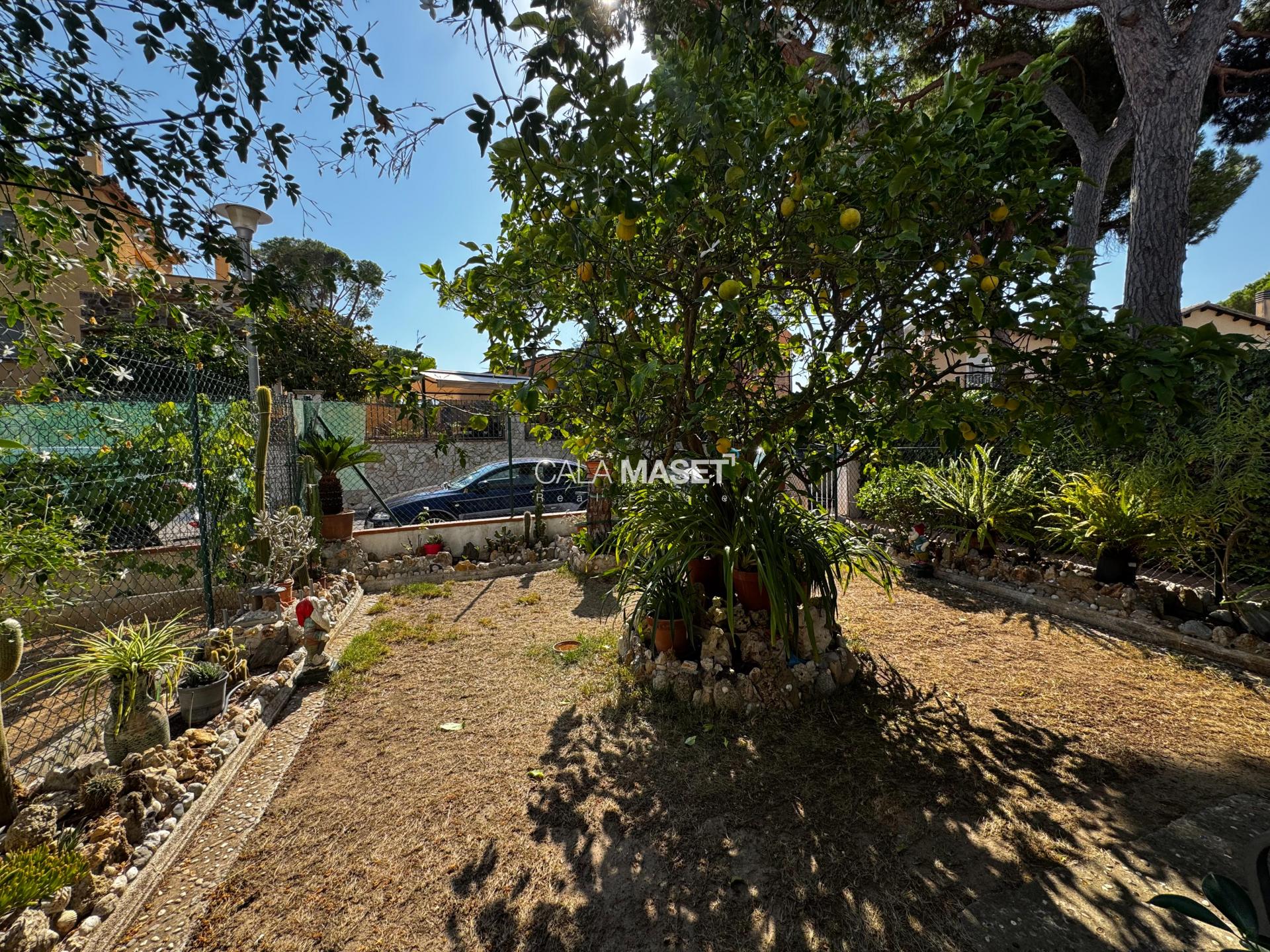 Photo 48