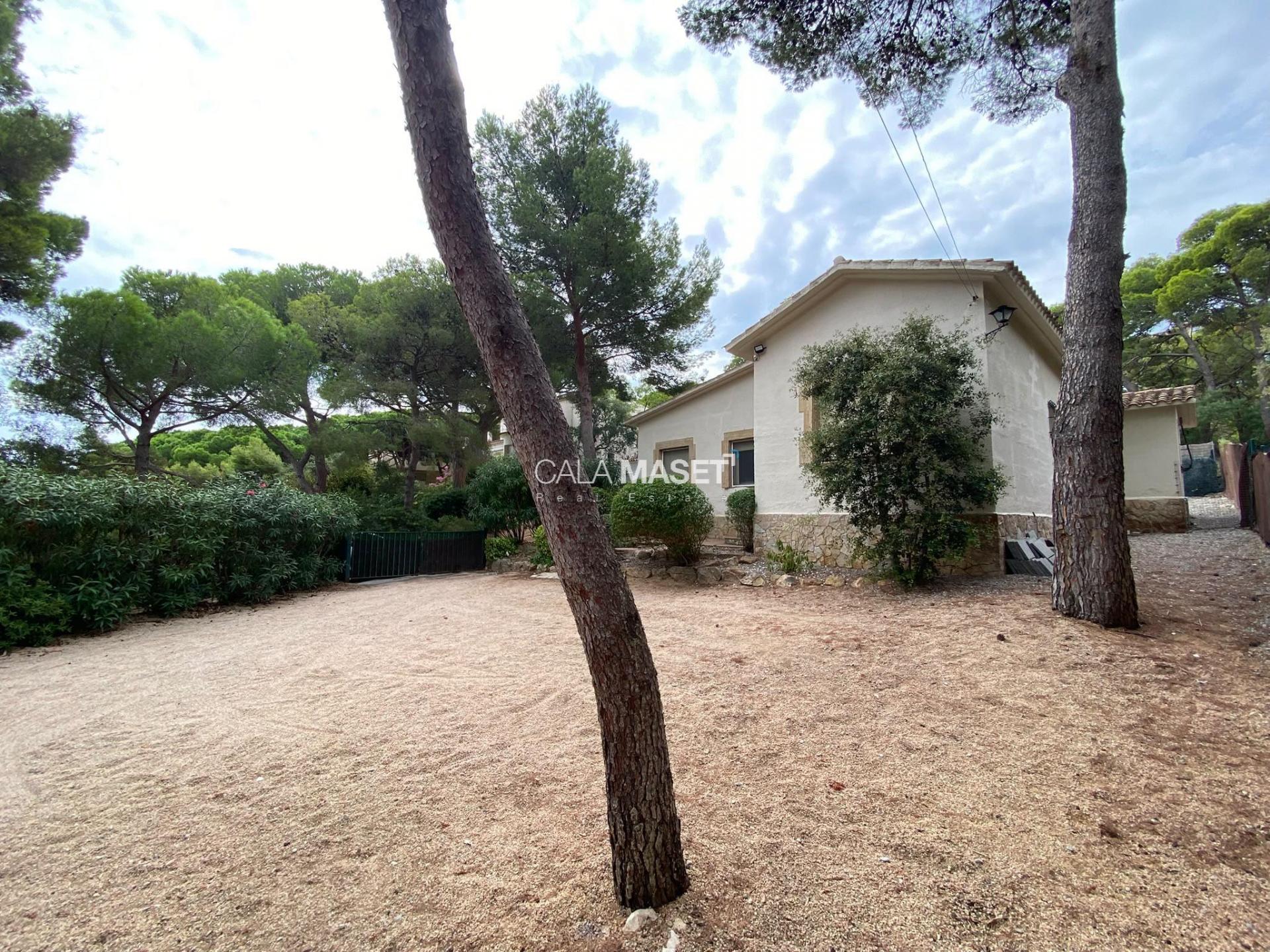 Photo 48