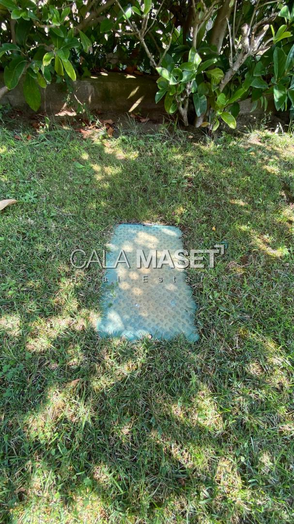 Photo 49