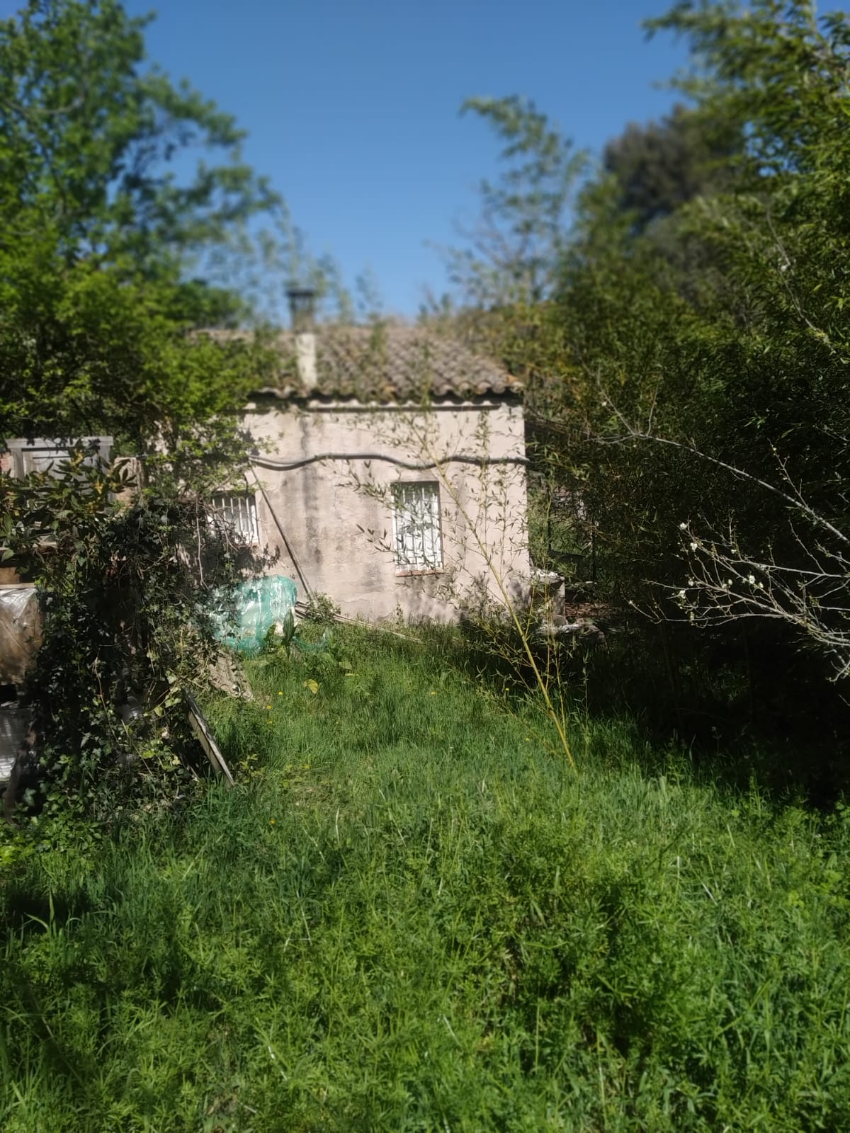 Photo 13