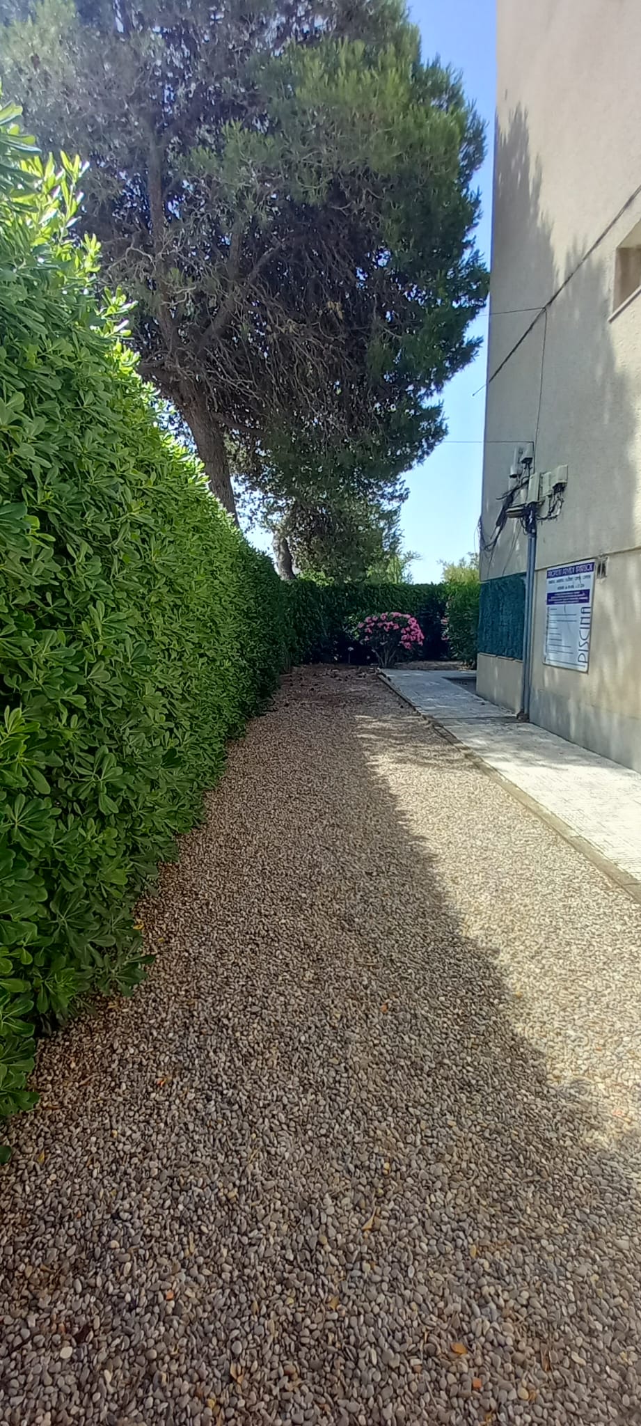 Photo 37
