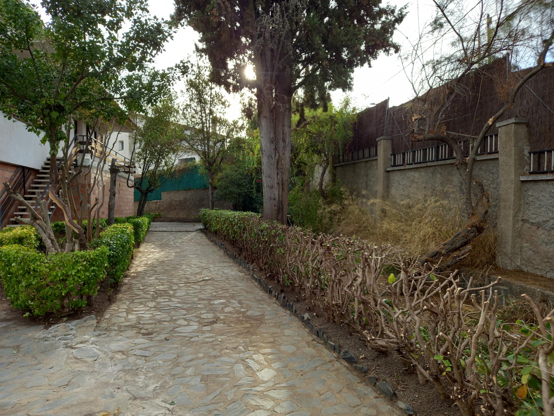 Photo 42