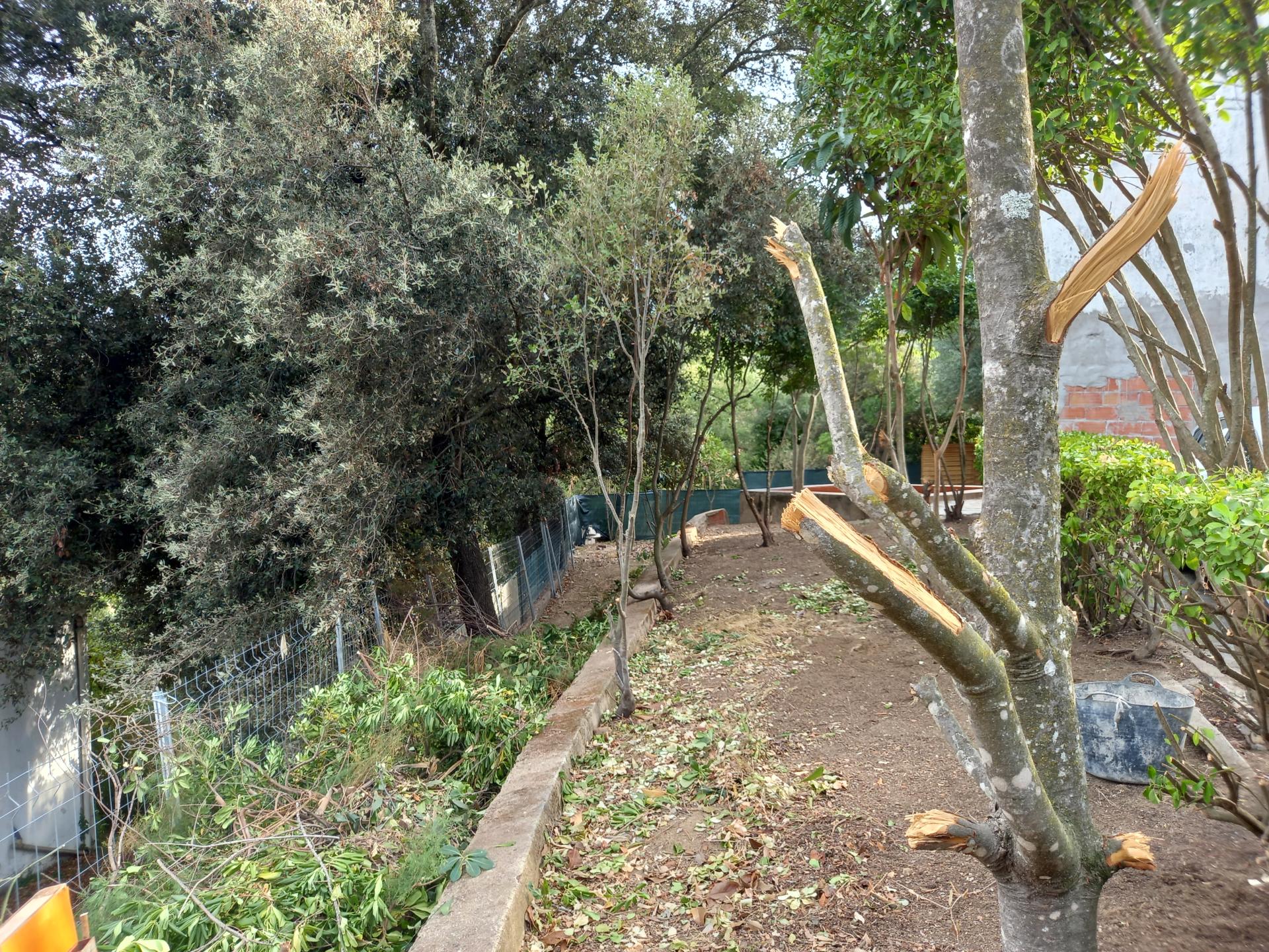 Photo 44